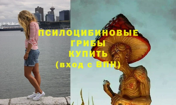 кокс Козельск