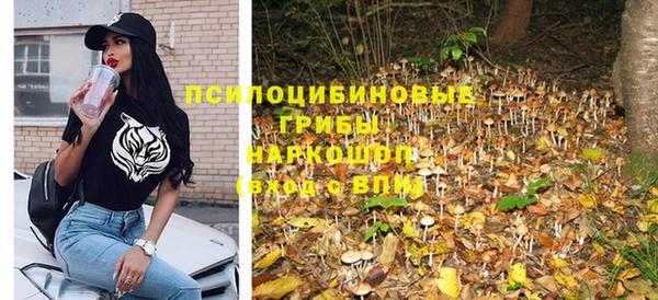 прущий лед Кодинск