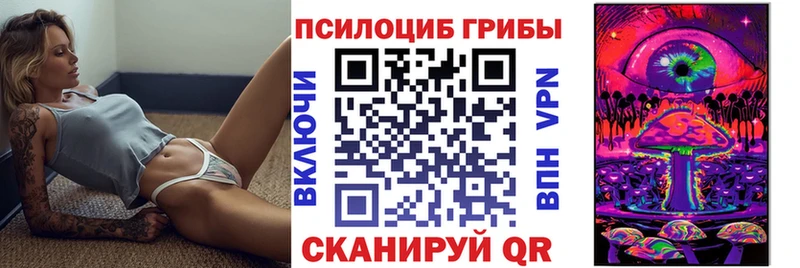 Псилоцибиновые грибы Magic Shrooms  Купить где  Избербаш 